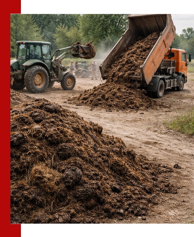 Доставка навоза самосвалами в Нальчике для сельхозпотребностей